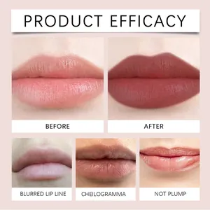 Professional before and after comparison of matte liquid lipstick efficacy for plump lips