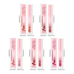 Zephoco Matte Lippencreme-Set mit Größen und 5 Farbmessungsdetails