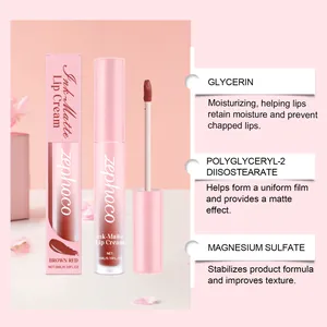 Vue détaillée du rouge à lèvres mat ZEPHOCO Brown Red avec ingrédients et texture