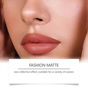 Nahaufnahme von mattem Lippenstift mit einem nicht reflektierenden Samt-Finish