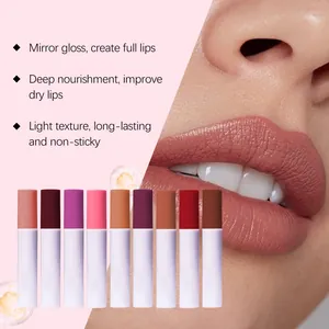 Detailopname van hydraterende spiegelglans lipolie effect en 9-kleuren collectie display