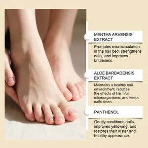 Nagelpflegeöl-Details mit Mentha Arvensis, Aloe Barbadensis und Panthenol-Inhaltsstoffen