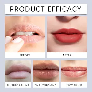 Makroansicht der Wirksamkeit von mattem Lipgloss vor und nach der Anwendung Ergebnisse