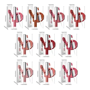 Gedetailleerde afmetingen voor de 10-delige 2-in-1 glanzende lipgloss set in kleuren