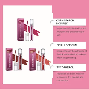 Detail showing Zephoco lip tint ingredients like tocopherol and moisturizing benefits