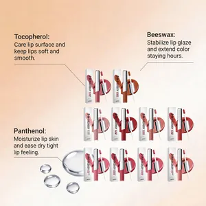 Gedetailleerde ingrediënten en tien tinten van de 2-in-1 glanzende lipgloss voor make-up