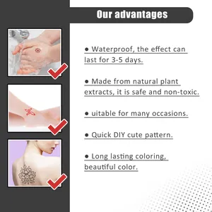 Detail of waterproof temporary fruit juice tattoo kit with natural plant extracts