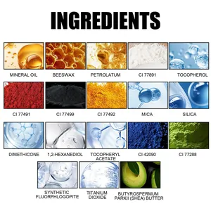 Detailed photographic guide of ingredients for the tropical golden makeup kit palette set