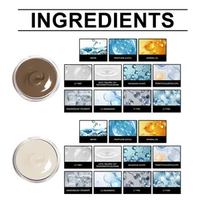 Detailed ingredients list for professional waterproof tattoo concealer cream set