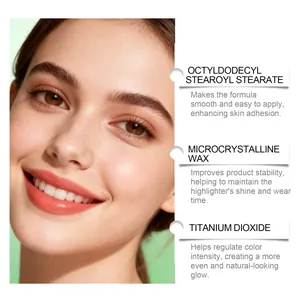 Infographic of highlighter ingredients including Microcrystalline Wax and Titanium Dioxide.