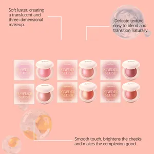 Detail view showing six shades of Zephoco powder blush with packaging