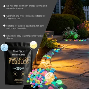 Pakket van 200 meerkleurige lichtgevende kiezelstenen voor tuin- en paddecoratie.
