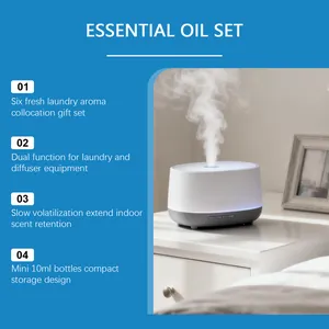 Detailansicht der 10ml Wäsche-ätherischen Öle-Sets mit Diffusor-Funktionen