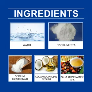 Detailed overview of active ingredients in wall stain removal spray formula