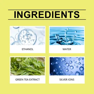 Detail view of active ingredients in shoe deodorizer: Ethanol, Water, Green Tea Extract, Silver Ions