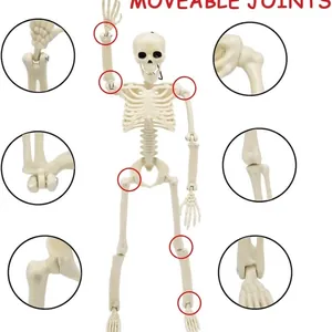 Διακόσμηση σκελετού Halloween πλήρους σώματος με κινητές αρθρώσεις για τρομακτικά πάρτι