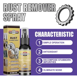 Rayhong multifunctionele roestverwijderaar spray voor reiniging van roestvrij staal