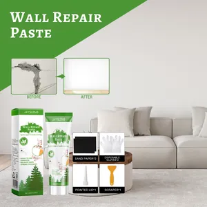 Complete wall repair paste kit including scraper and sandpaper for crack fixing