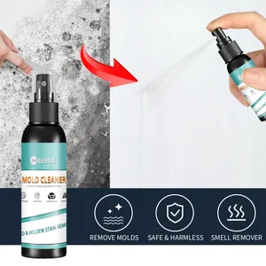 Effective EELHOE mold cleaner spray for indoor walls and furniture stains removal