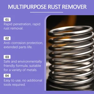 Detail of a shiny metal spring cleaned with multipurpose rust remover solution