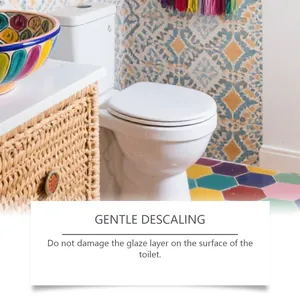 Detail view showing a clean toilet and tile floor with gentle descaling text