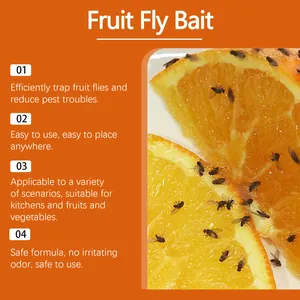 Effectief fruitvlieglokaas voor de keuken met een veilige en natuurlijke formule