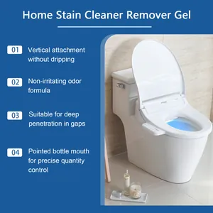 Detailed view of mold remover gel features for bathroom cleaning and stain removal