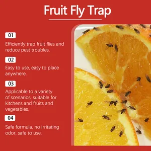 Close-up of fruit fly trap bait effectiveness on orange slices with listed benefits.
