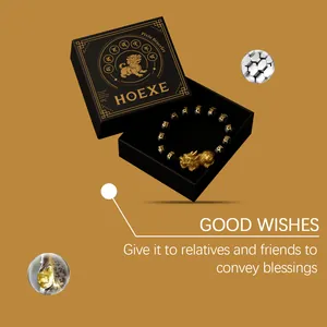 Schwarzes Pixiu-Armband von HOEXE mit goldenen Anhängern in edler Geschenkbox-Ansicht