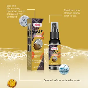 Professional Rayhong metal rust remover spray for automotive wheels and metal care