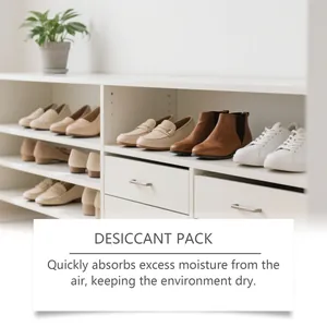 Lifestyle scene of a white shoe cabinet featuring household desiccant for moisture control