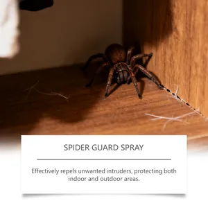 Vue détaillée d'une araignée brune dans un coin, soulignant le besoin d'un spray répulsif