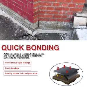 Infographic of waterproof repair glue showing quick bonding and crack sealing features