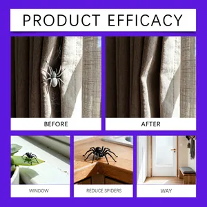 Efficacité du spray répulsif araignées avant et après traitement sur rideaux