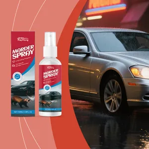RayHong marterspray en doos getoond naast een auto in een regenachtige nachtscène-detail