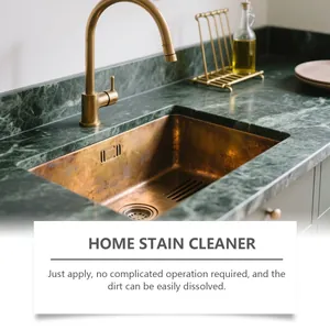 Detailed view of clean kitchen sink area showing effective home stain removal results