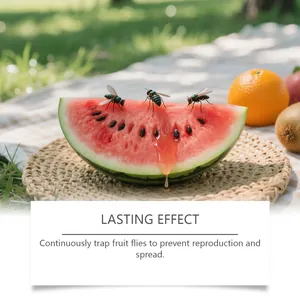 Fruitvlieg lokstof effect toont vliegen op watermeloen in buitenomgeving.