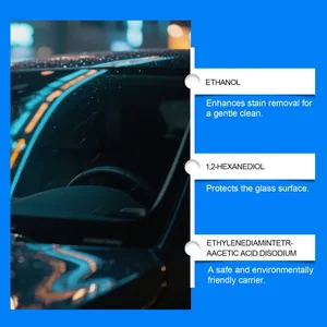 Dettagli degli ingredienti dello spray antiappannamento per la pulizia del parabrezza auto