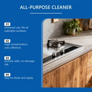 Nettoyant de cuisine universel montrant une cuisinière très propre sur un comptoir moderne