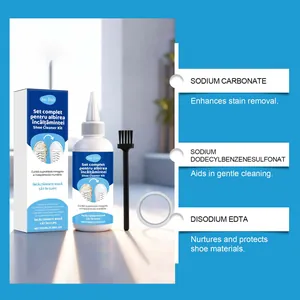Detailed overview of shoe cleaning kit ingredients including sodium carbonate for stain removal