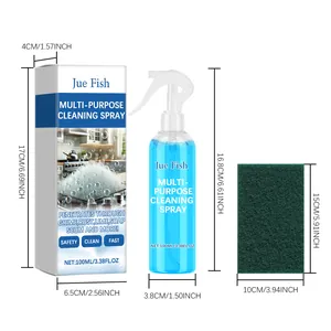 Multi-purpose cleaning spray set with 100ml bottle and green scouring pad dimensions
