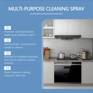 Detailed feature list for multi-purpose foam cleaner in a modern kitchen setting.