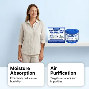Indoor air magic box for moisture absorption and air purification in a home setting.
