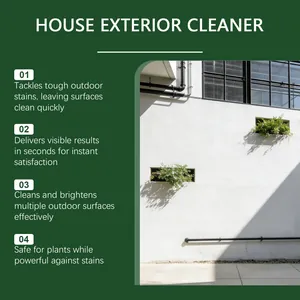 Infographic detail showing exterior house wall cleaning results and key product benefits