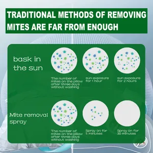 Infographic comparing mite removal spray effectiveness versus sun exposure for bedding care