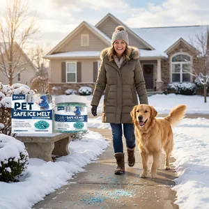 EelJoy pet safe ice melt granules used on a snowy sidewalk with a golden retriever