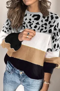 Detailed view of women's leopard print and color block crewneck knit sweater top