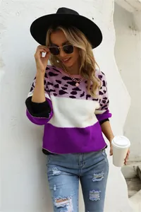 Detailed outdoor fashion shot of women's leopard print patchwork crewneck knit sweater