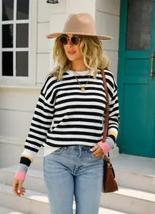 Pull en tricot rayé élégant avec manches color block vibrantes et un col rond confortable
