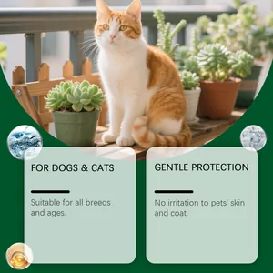 Spray répulsif naturel à base de plantes contre puces et tiques pour chiens et chats de tout âge